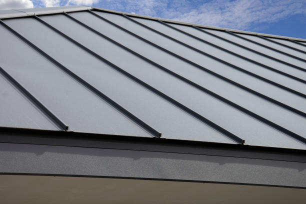 Best Commercial Roofing Services  in Adrian, MN